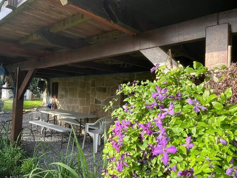 Studio Renove Rdc Terrasse Wepion Namur Luaran gambar